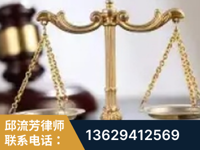 朝阳-委托诉讼代理人出庭